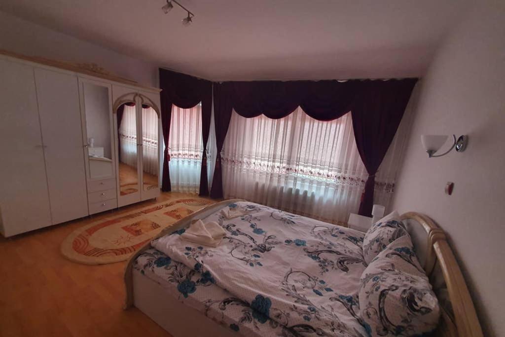 Casa Frizerului - Pets Allowed For Free & Moto Friendly Apartment Sebes  Exterior photo
