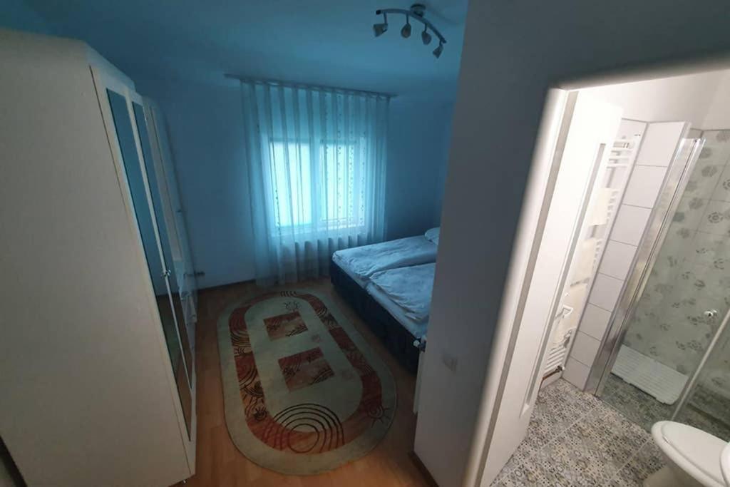 Casa Frizerului - Pets Allowed For Free & Moto Friendly Apartment Sebes  Exterior photo