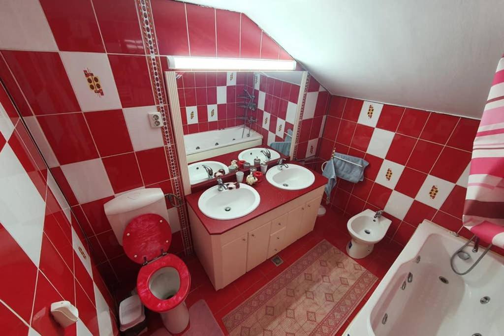 Casa Frizerului - Pets Allowed For Free & Moto Friendly Apartment Sebes  Exterior photo