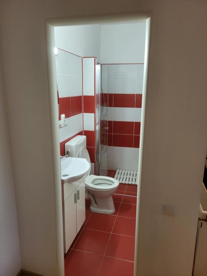 Casa Frizerului - Pets Allowed For Free & Moto Friendly Apartment Sebes  Exterior photo